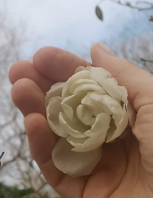 Massages ayurvdiques aux huiles chaudes, relaxants, nergisants, quilibrants