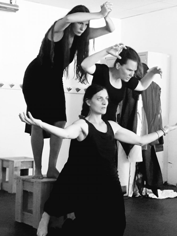 Stage Th��tre Playback 13-15 novembre 2026, S�te