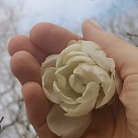 Massages ayurvdiques aux huiles chaudes, relaxants, nergisants, quilibrants